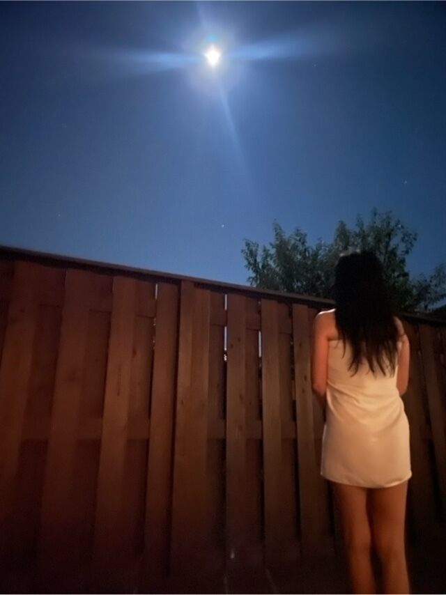 ほたるの人妻川柳日記(一昨日の十三夜)