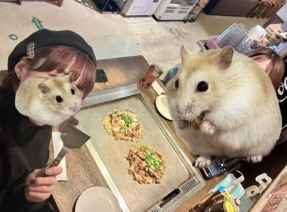 2人で100回スクワットした