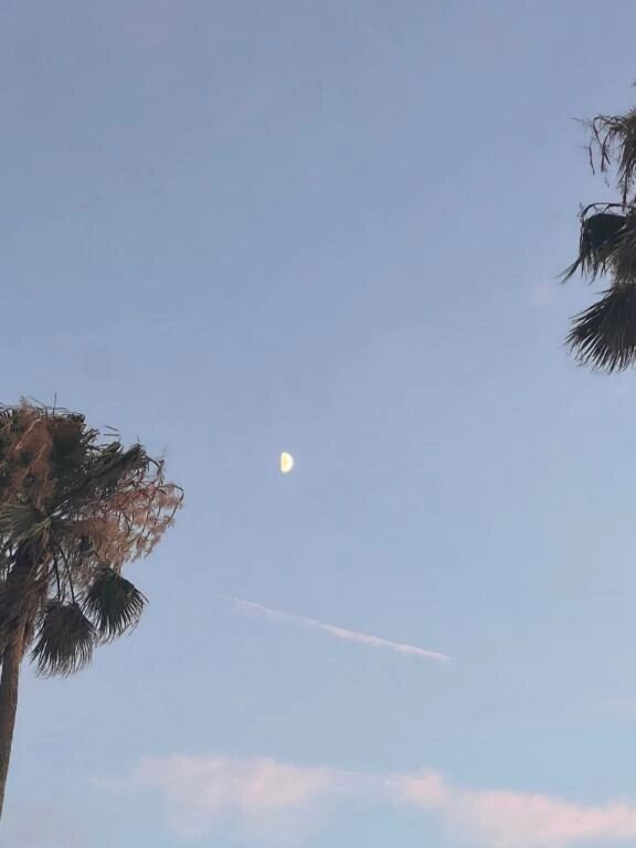 愛と恋の違いはなんだと思う？