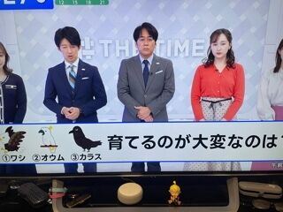 今朝の脳シャキクイズ