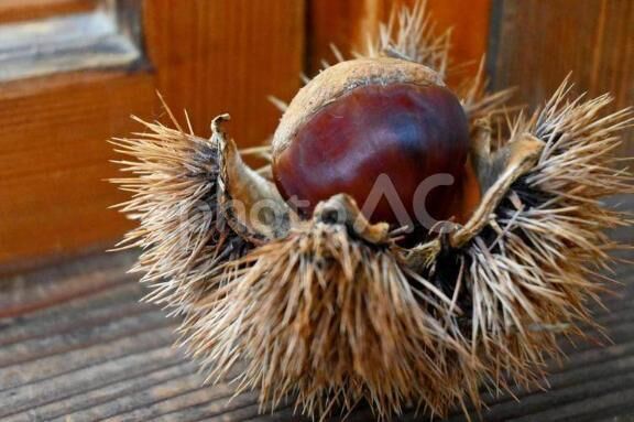 [お題]from:カンパチさん