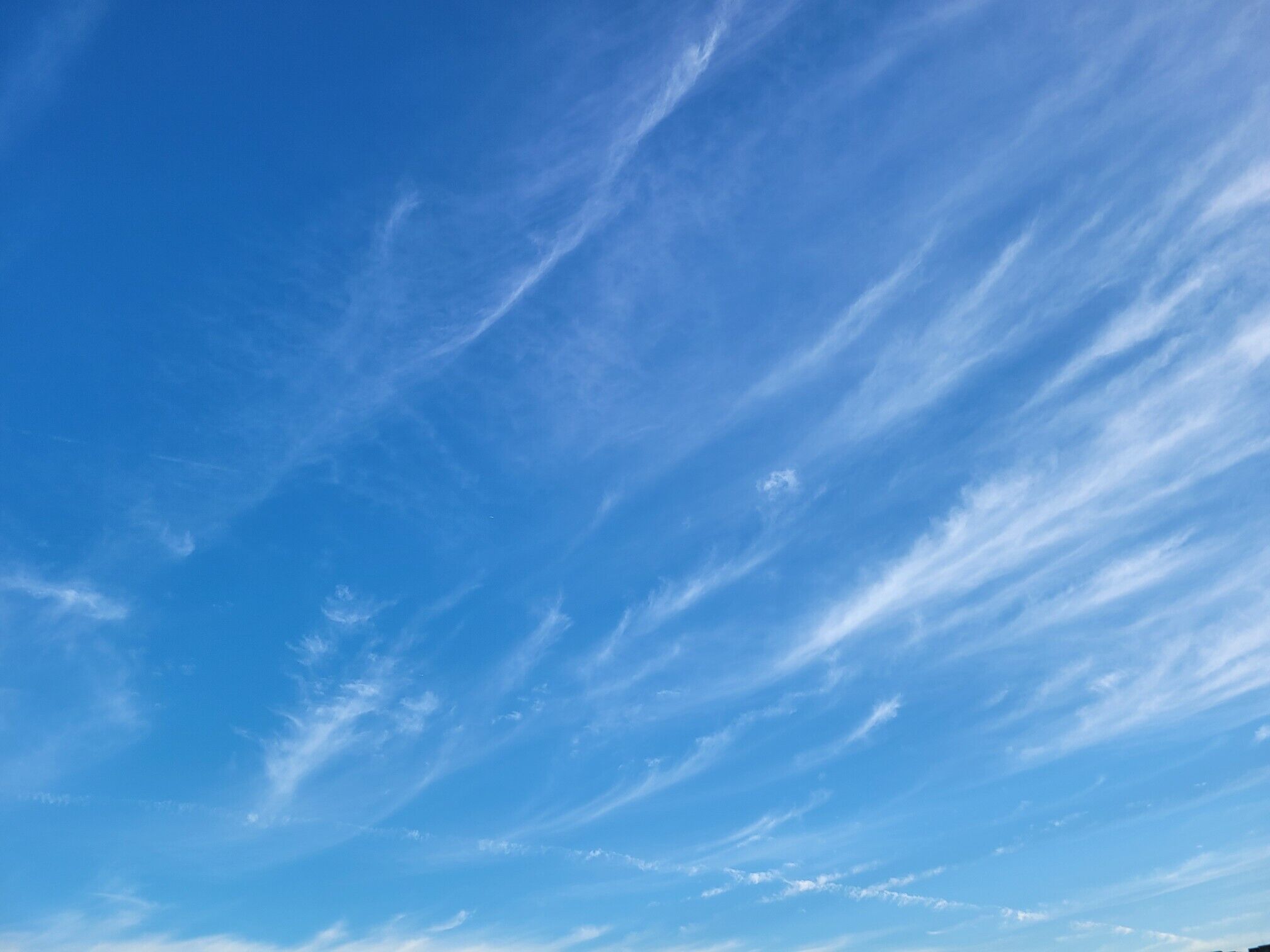 おはようございます