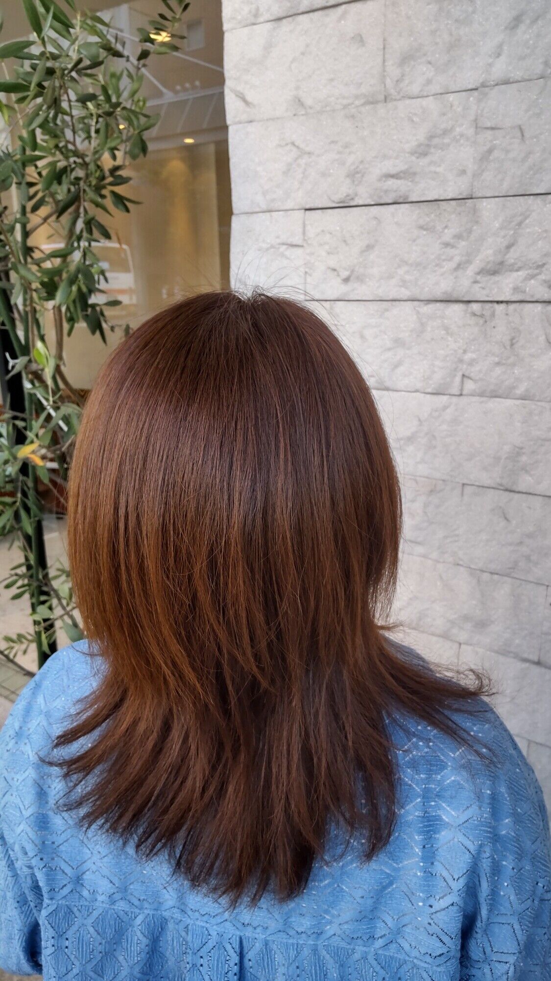 おはようございます