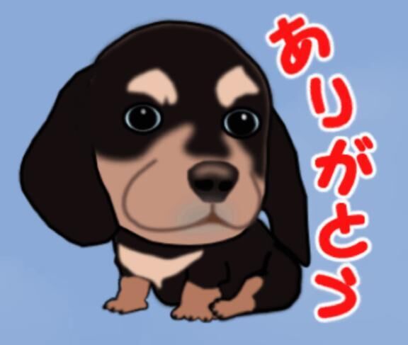 P指様、ありがとう