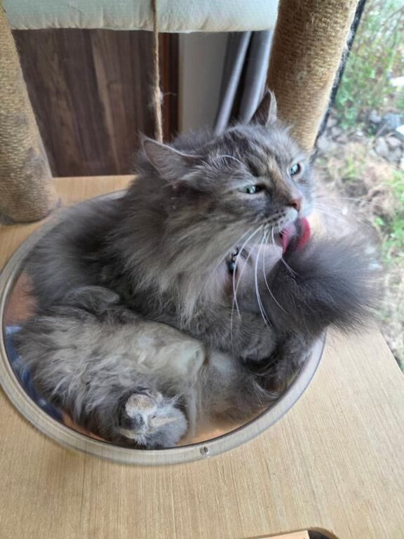 ♡♡本日ミツバ出勤です♡〜♡♡♡