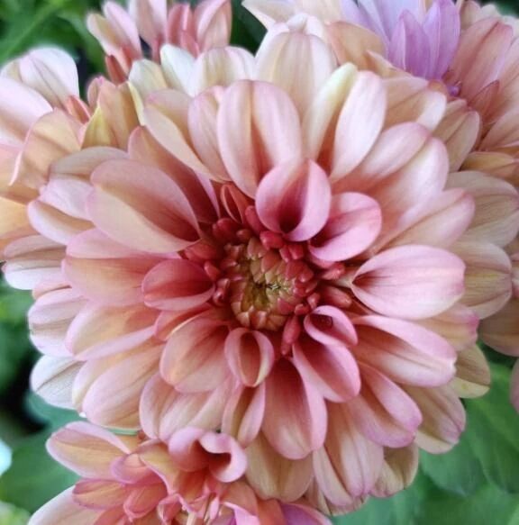 &#128149;ありがとう&#128149;