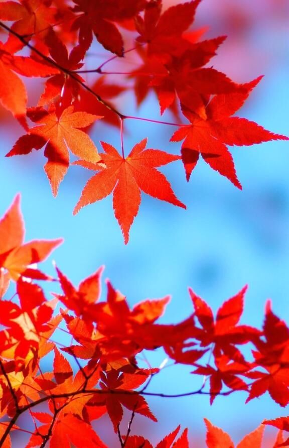 ♡　みたよ　♡