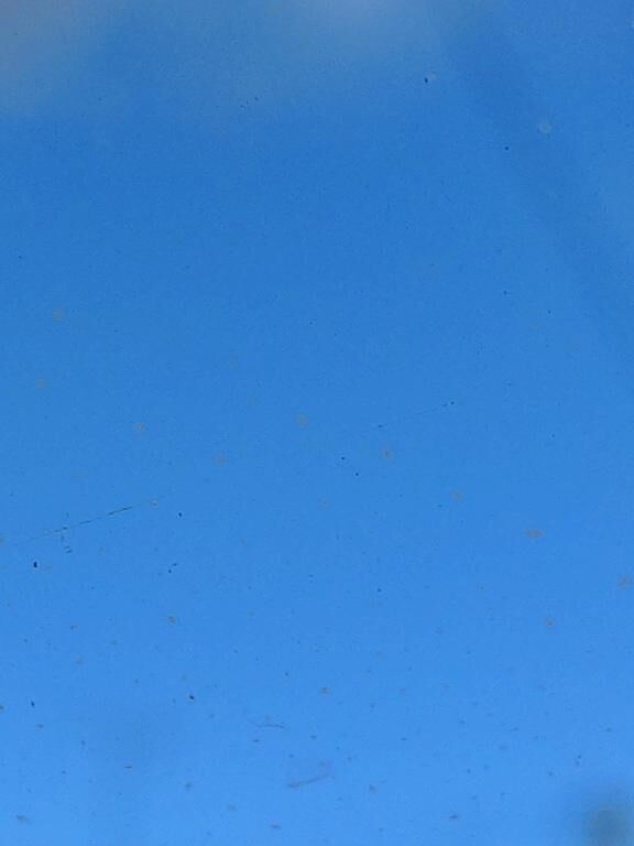 ダメでしょ&#9825;