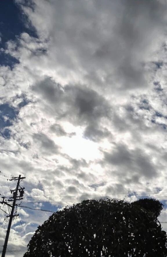 &#129505;こんにちは&#129505;