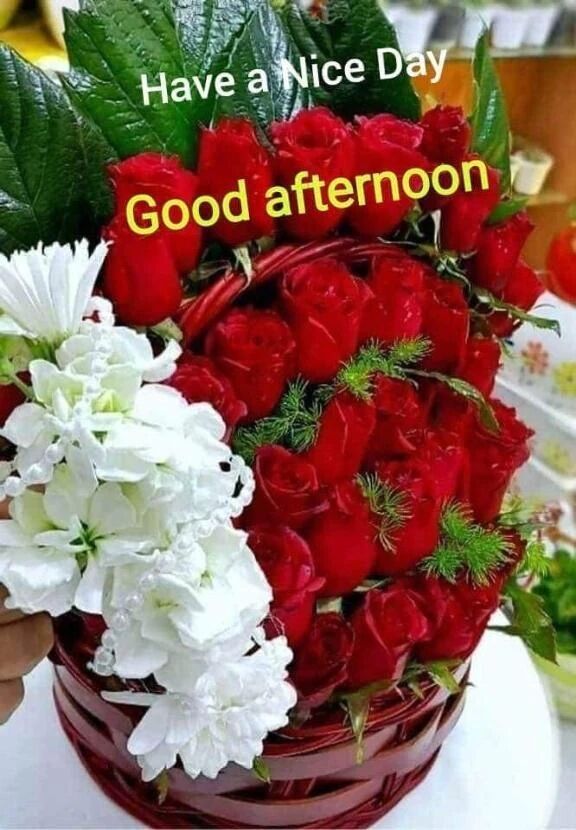 &#129505;皆様…&#129505;