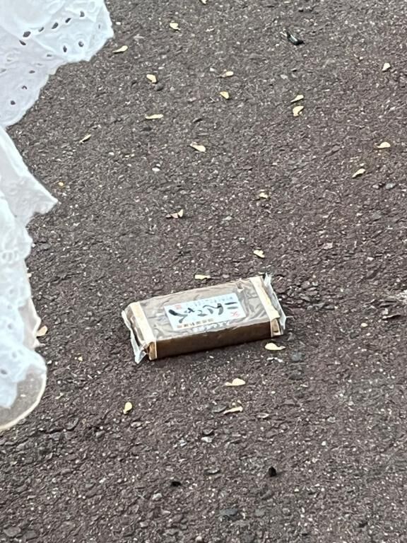 残念ながら同化はできなかったようだ