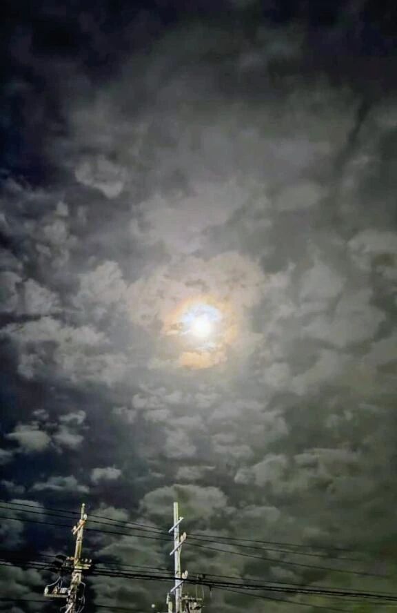 ⭐こんばんは⭐勺待機中です勺