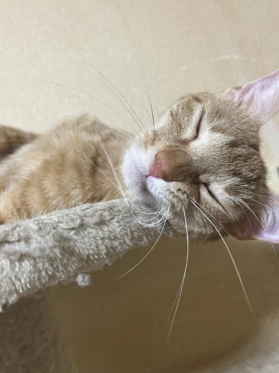 最近ご無沙汰…