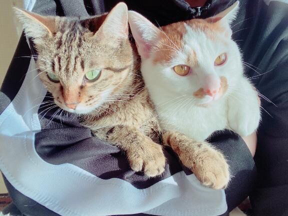 お礼日記&#9825;&#9825;