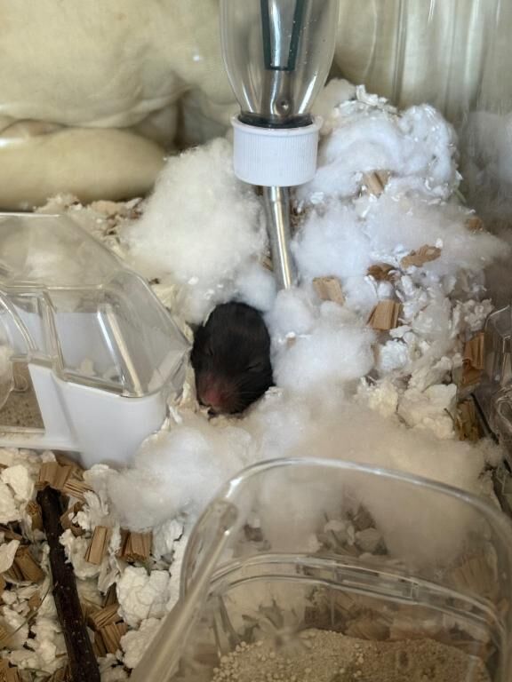 申し訳ないです&#9825;&#9825;♀&#9825;