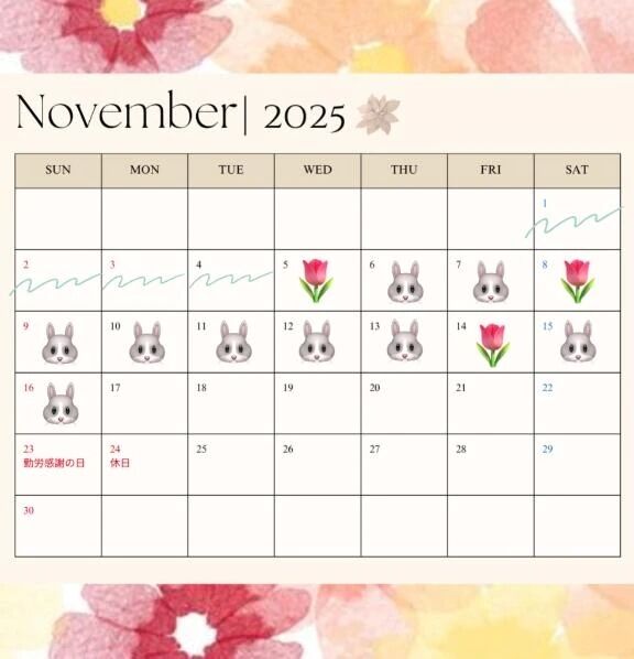 11月のシフト&#127799;