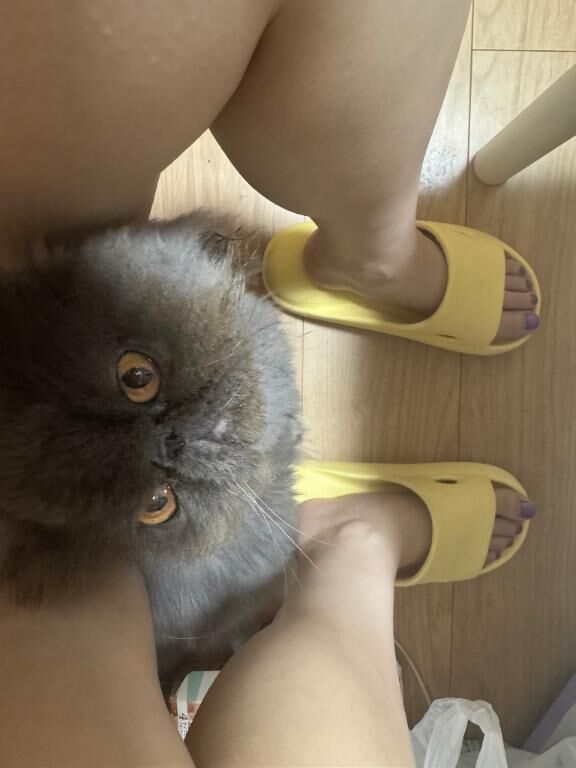 今週天気イマイチ？