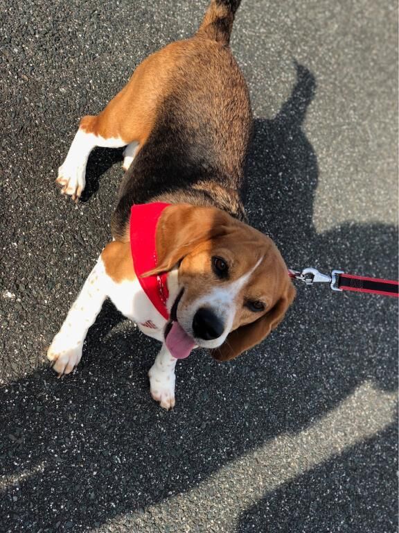 [お題]from:水がぶ飲み☆さん