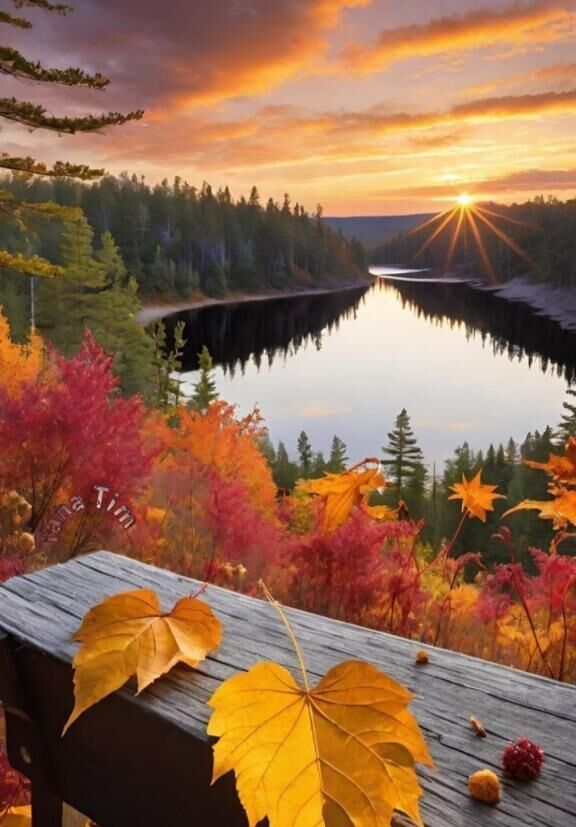 ♡　みたよ　♡