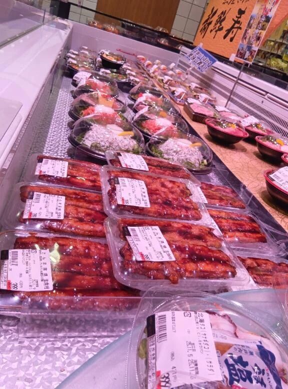 おさかなパラダイス♪