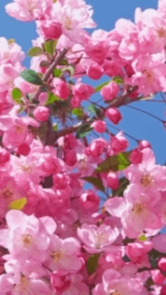 ☆こんにちは☆