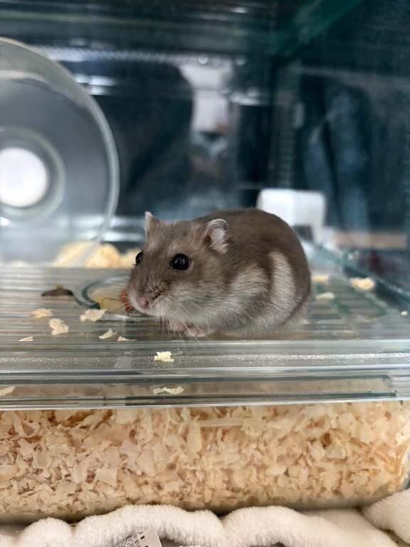 出勤だぁ〜♡♡