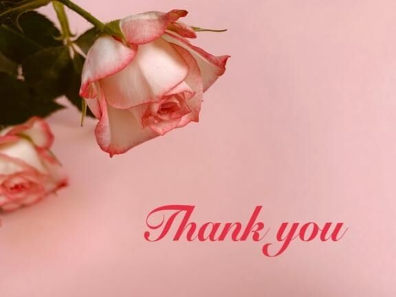 本日のお礼&#9825;