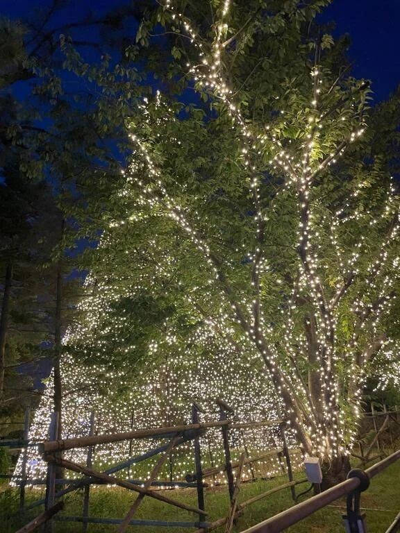 退勤です&#x301C;&#129782;