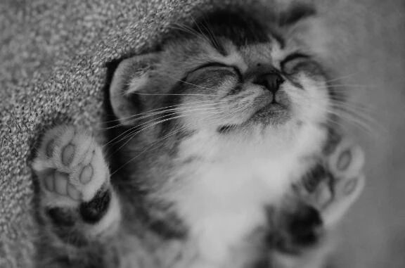 おっなかぁ&#x301C;♪( \'ω\' &#1608;(&#1608;