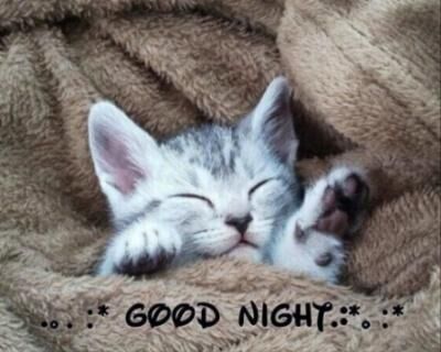 ＊おやすみなさい＊