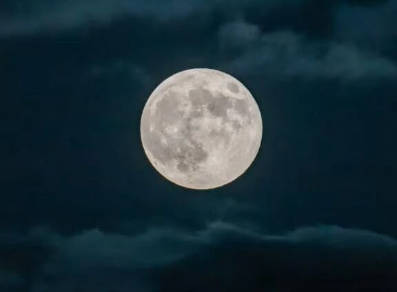 おはようございます...