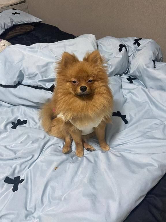 おやすみ&#x301C;&#9825;