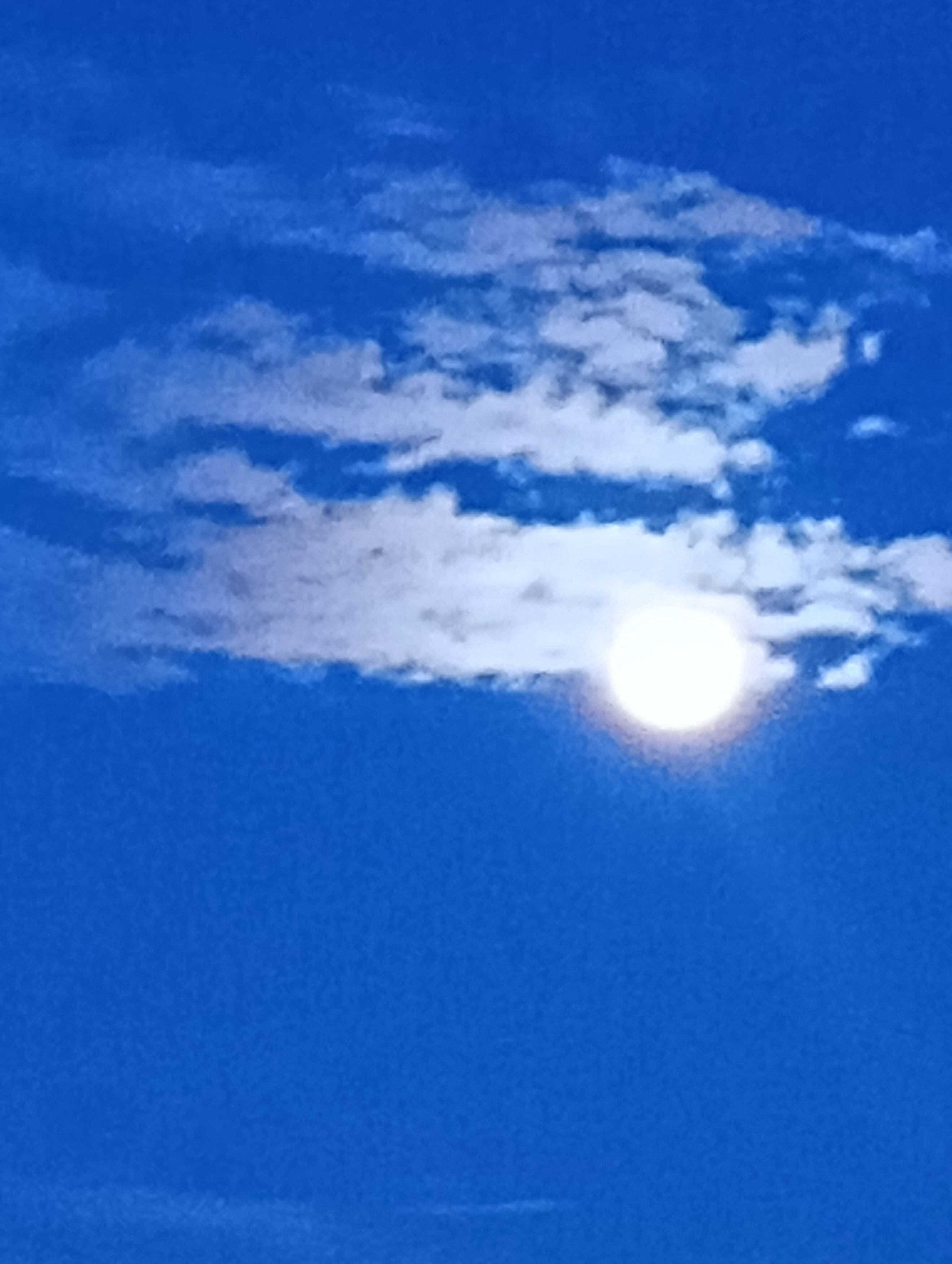 おはよう御座います