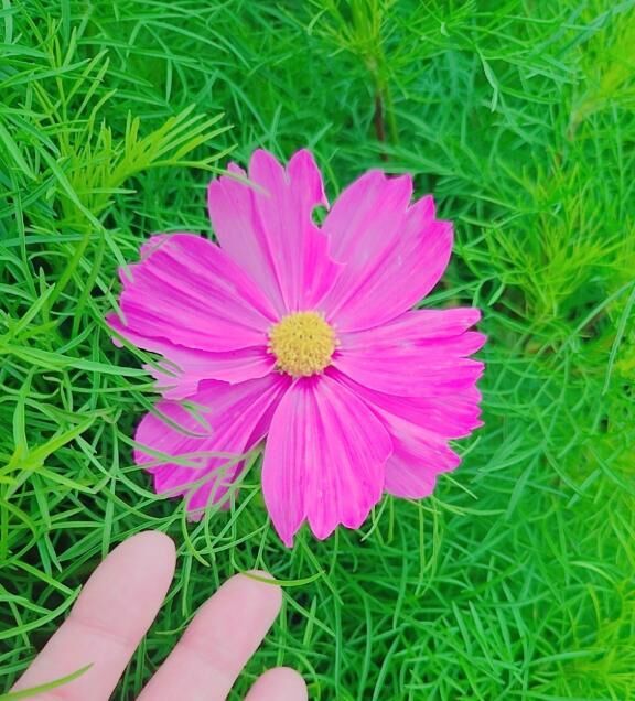 &#129767;&#8234;&#9825;*・