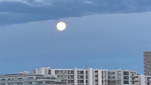 ありがとうございます