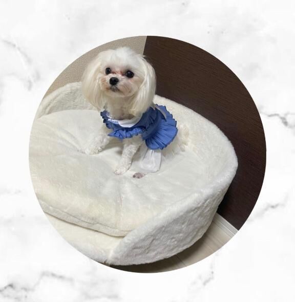 おはわん&#9825;&#9825;