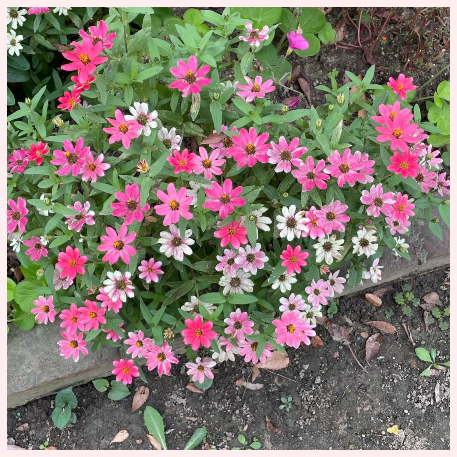 出勤しました(^^)