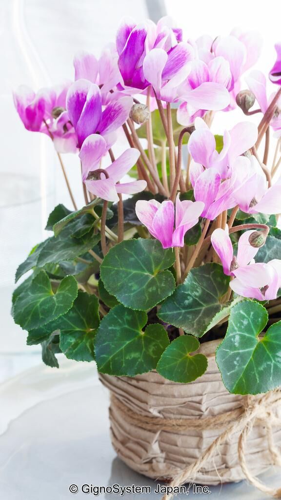 こんにちは&#9825;