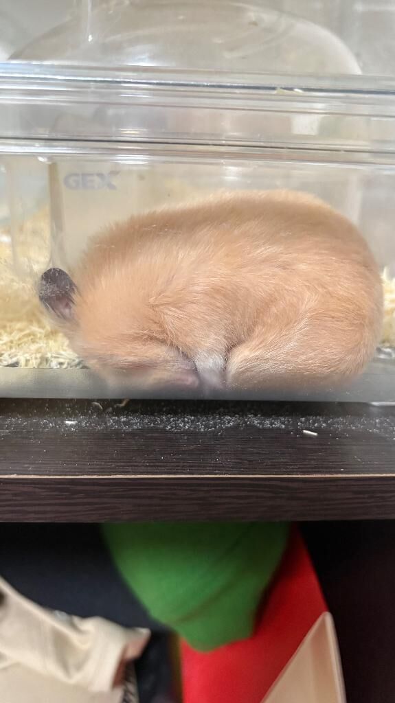 待機してます&#9825;