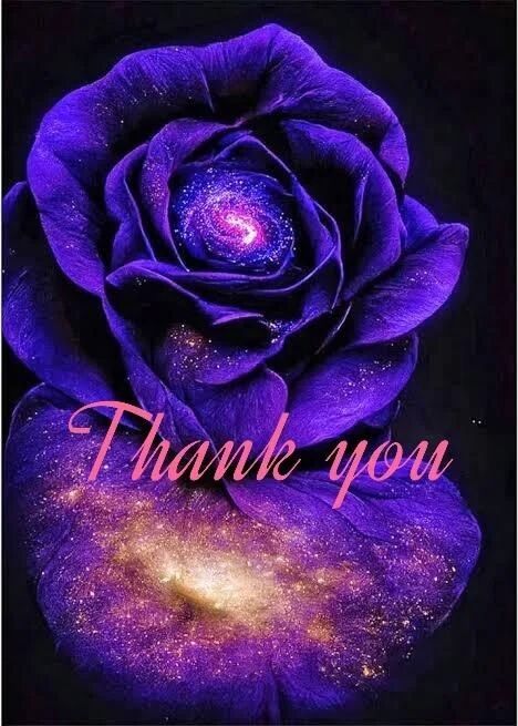 昨夜19時10分〜のお礼です♪