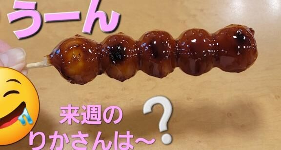 りかさん来週の月曜日から　お休みをいたらだきます