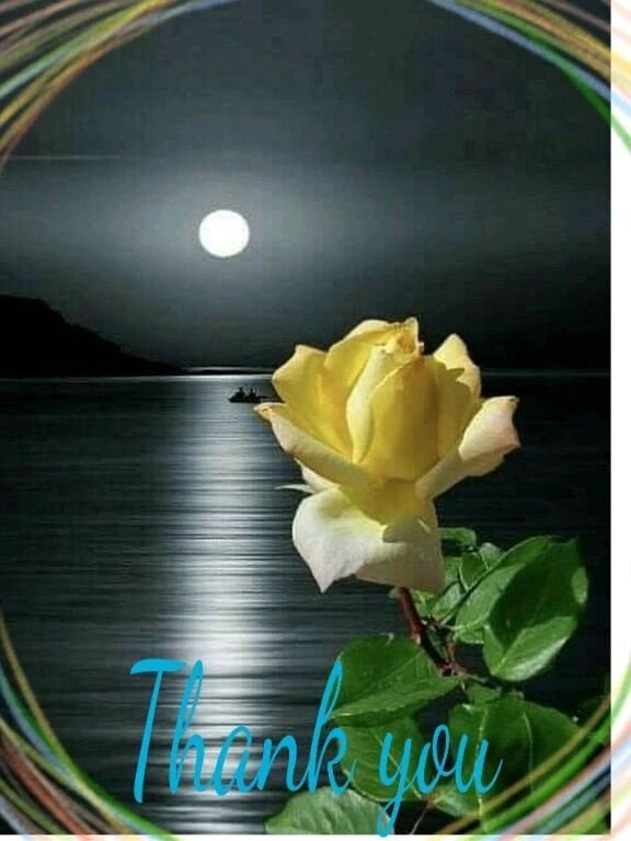 昨夜23時10分〜のお礼です♪