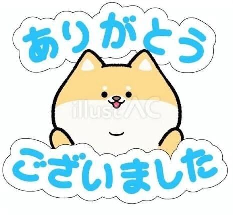 スタイリッシュ813