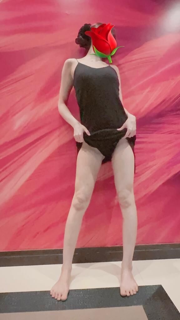 次回11/15-11/21予定