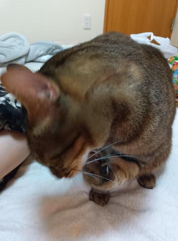 おはようございます