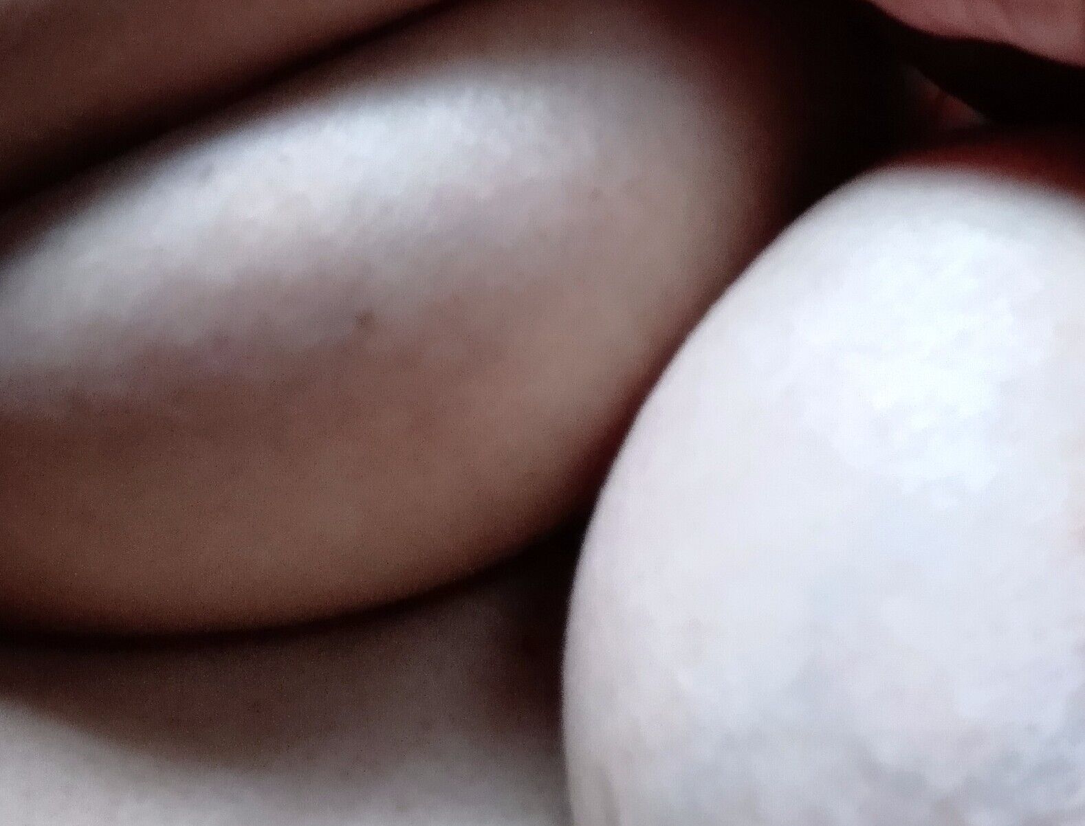 有難うございます&#9825;