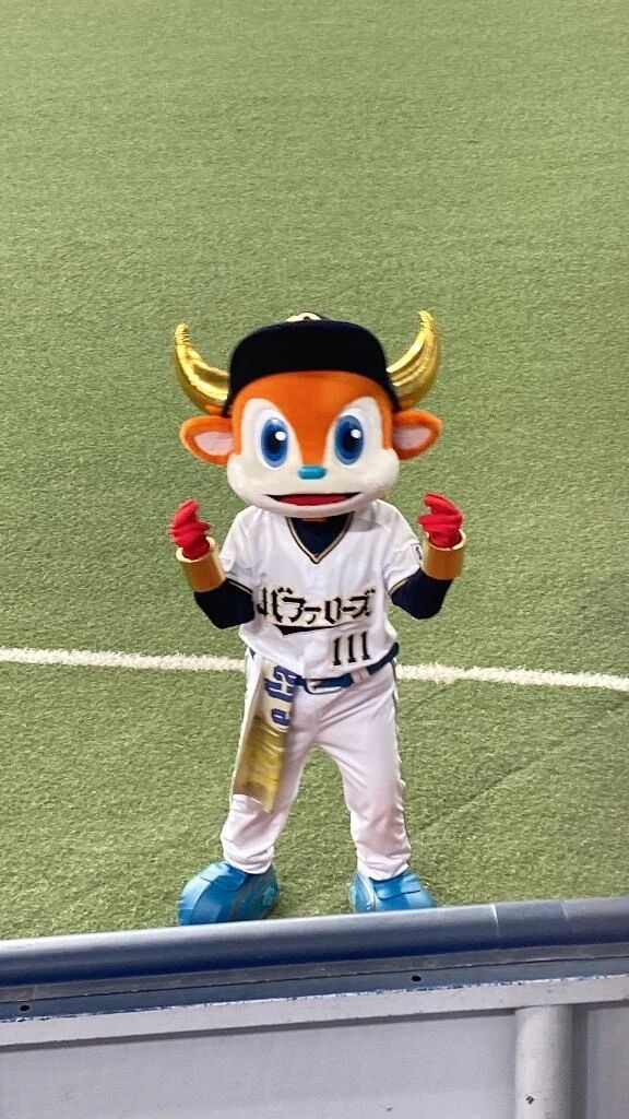 夕方だああああ！