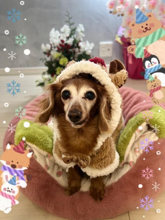 [お題]from:水がぶ飲み☆さん