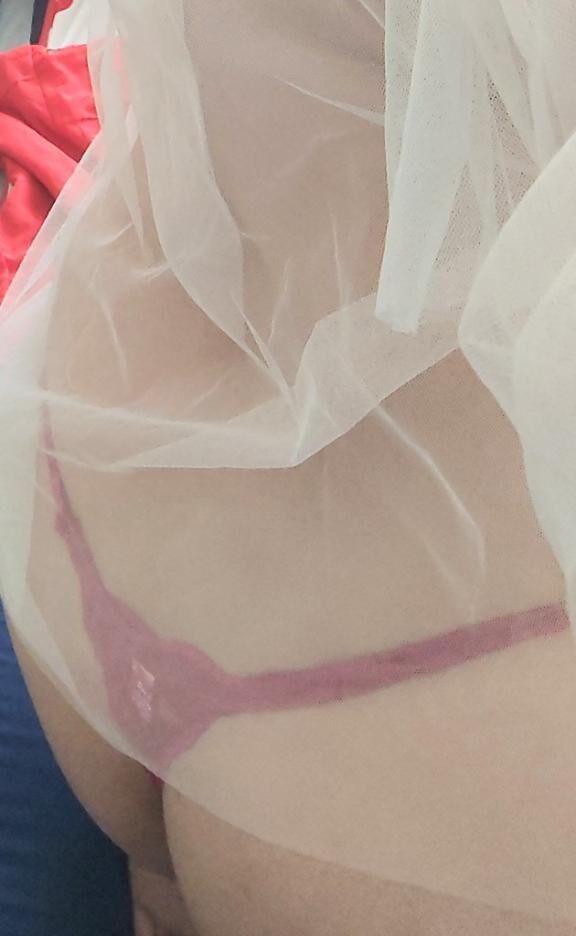 &#x301C;知多半島に帰ろうかな。。。&#x301C;