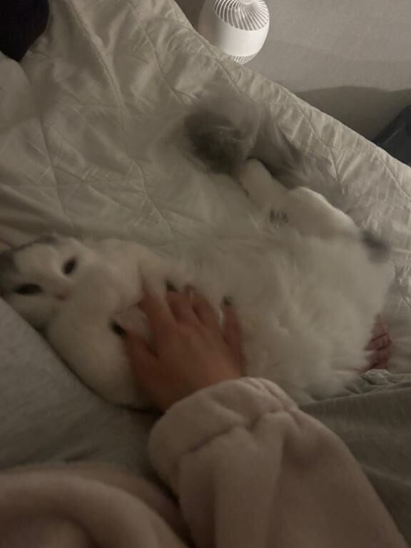 ありがとう♡♡